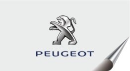 Peugeot Otomatik Şanzıman Servisi