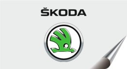 Skoda Otomatik Şanzıman Servisi